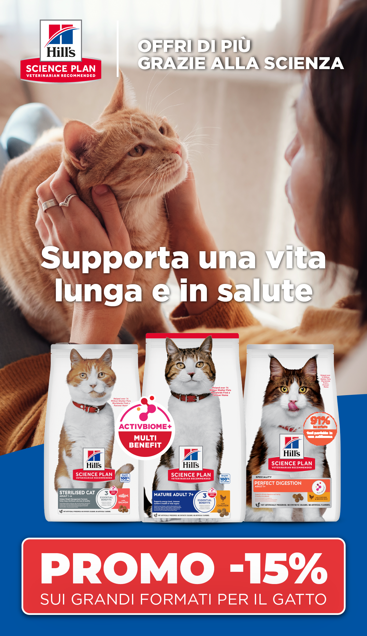 Gatto